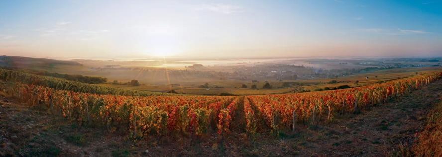 Logis Hotel L'Escargotiere Dijon Sud - เชอโนฟ ภายนอก รูปภาพ